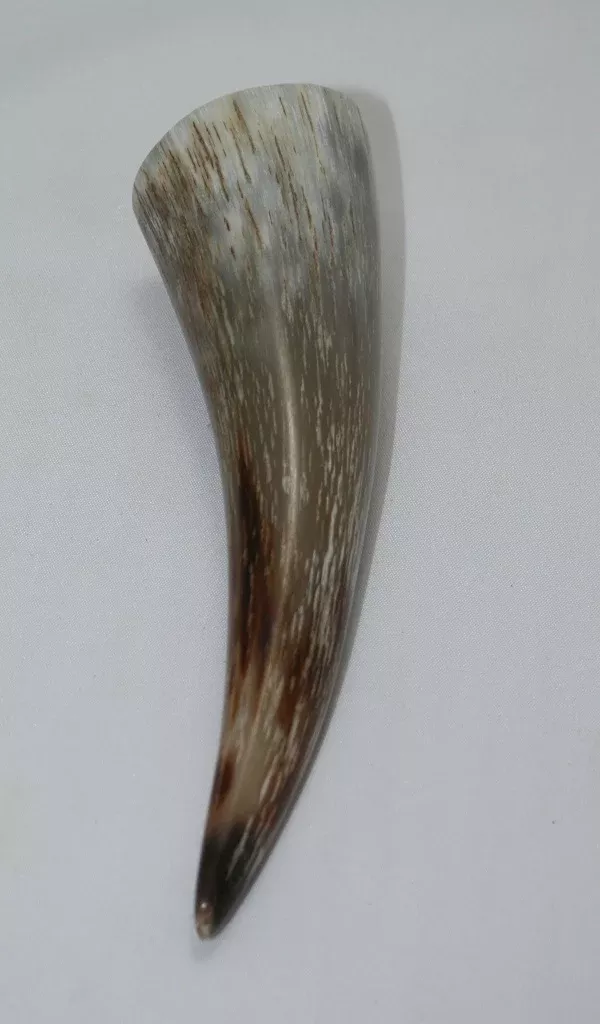 NB1101MAN73 Nguni Horn - tip